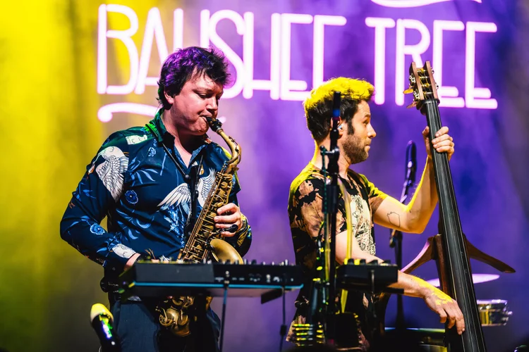 Banshee Tree photo 12