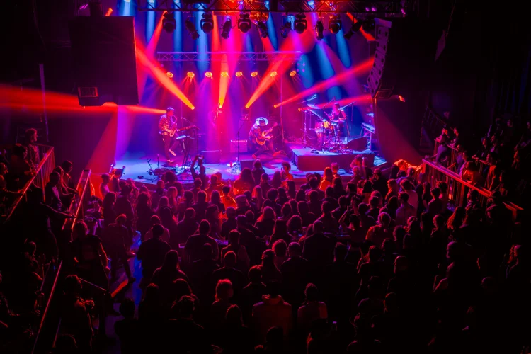 Banshee Tree photo 20