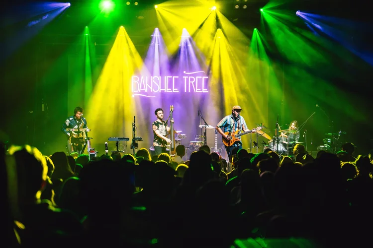 Banshee Tree photo 26