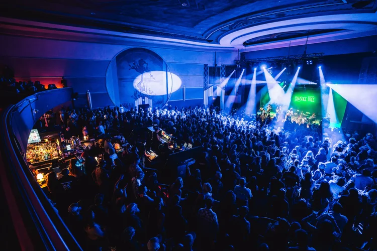 Banshee Tree photo 30