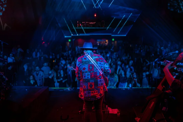 Banshee Tree photo 7