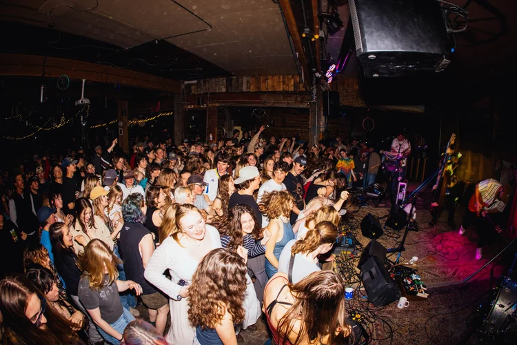 Banshee Tree photo 9